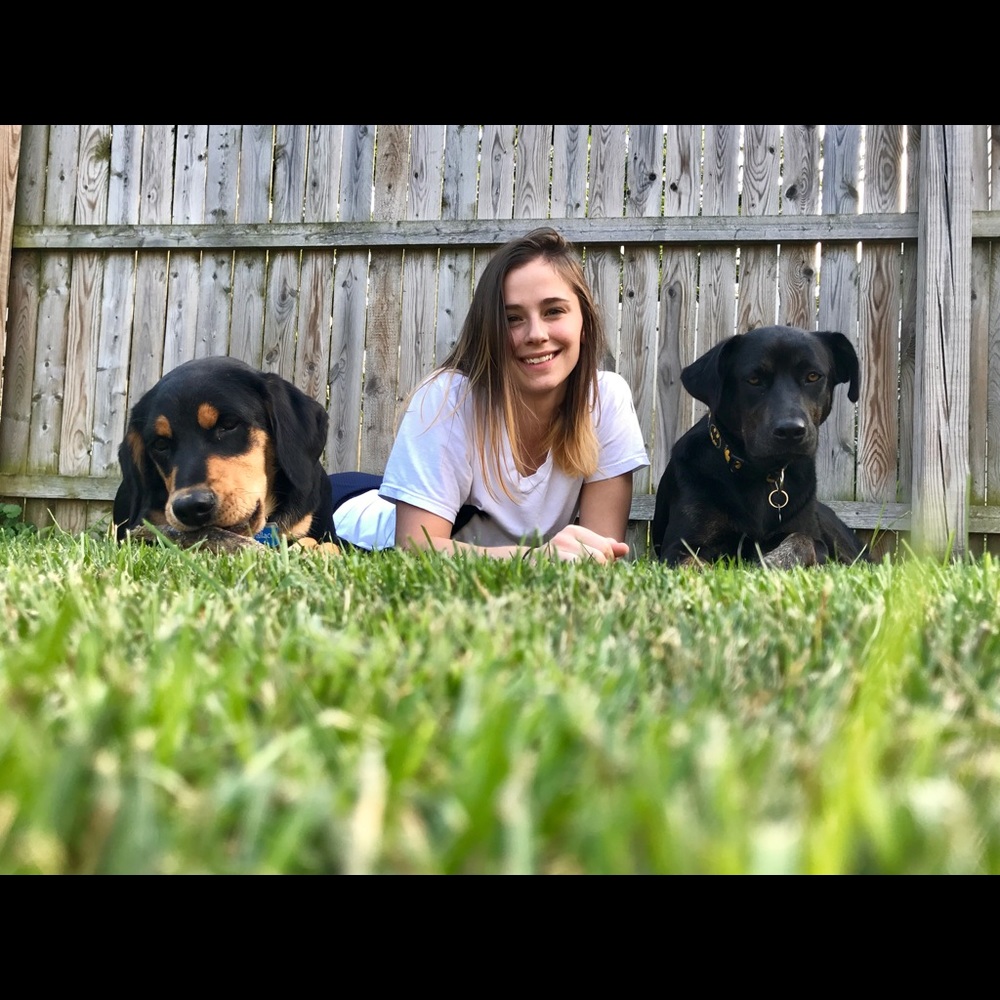 Meet your Posher, Sadie